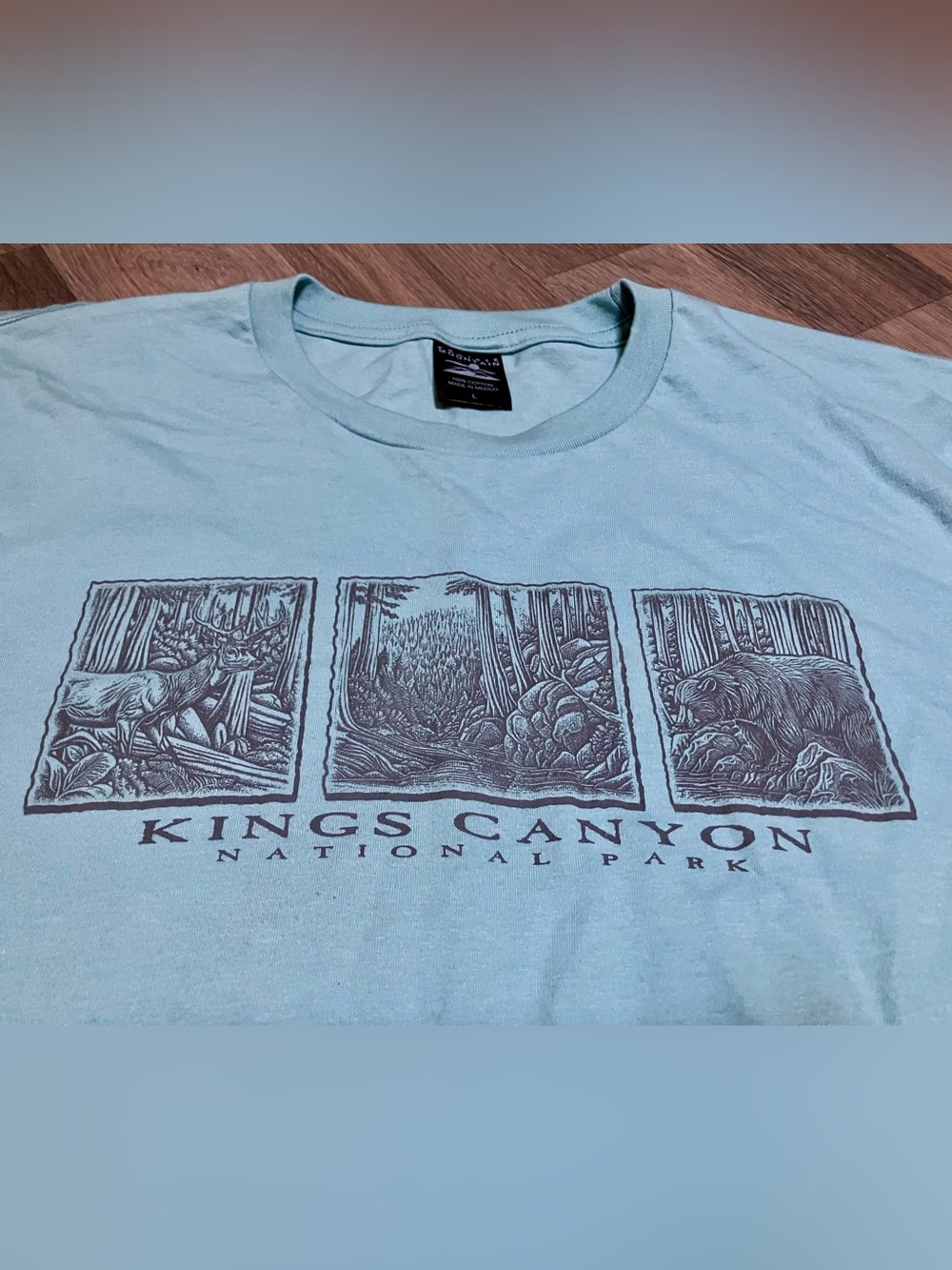 Light Blue Short Sleeve Graphic Tee - Kings Canyon National Park